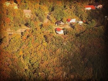 Готель Kamoshika Views Хакуба Екстер'єр фото